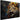 Canvas print, Lion on dark background